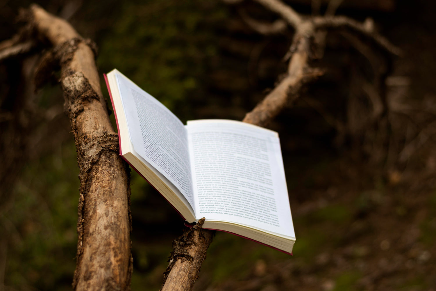 Recomendación de libro: Cita con la cumbre