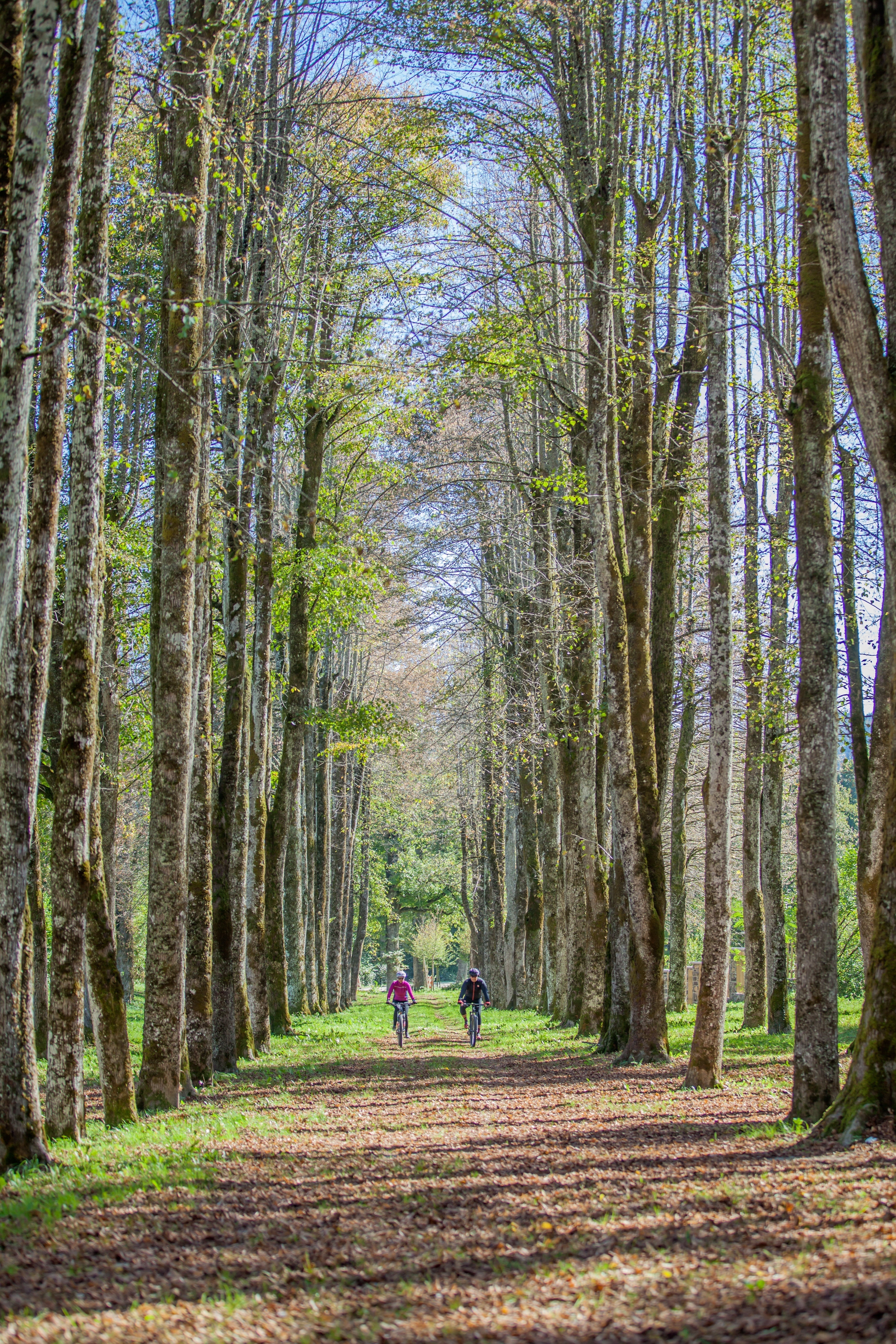 Qué es el mundo outdoors explicación
