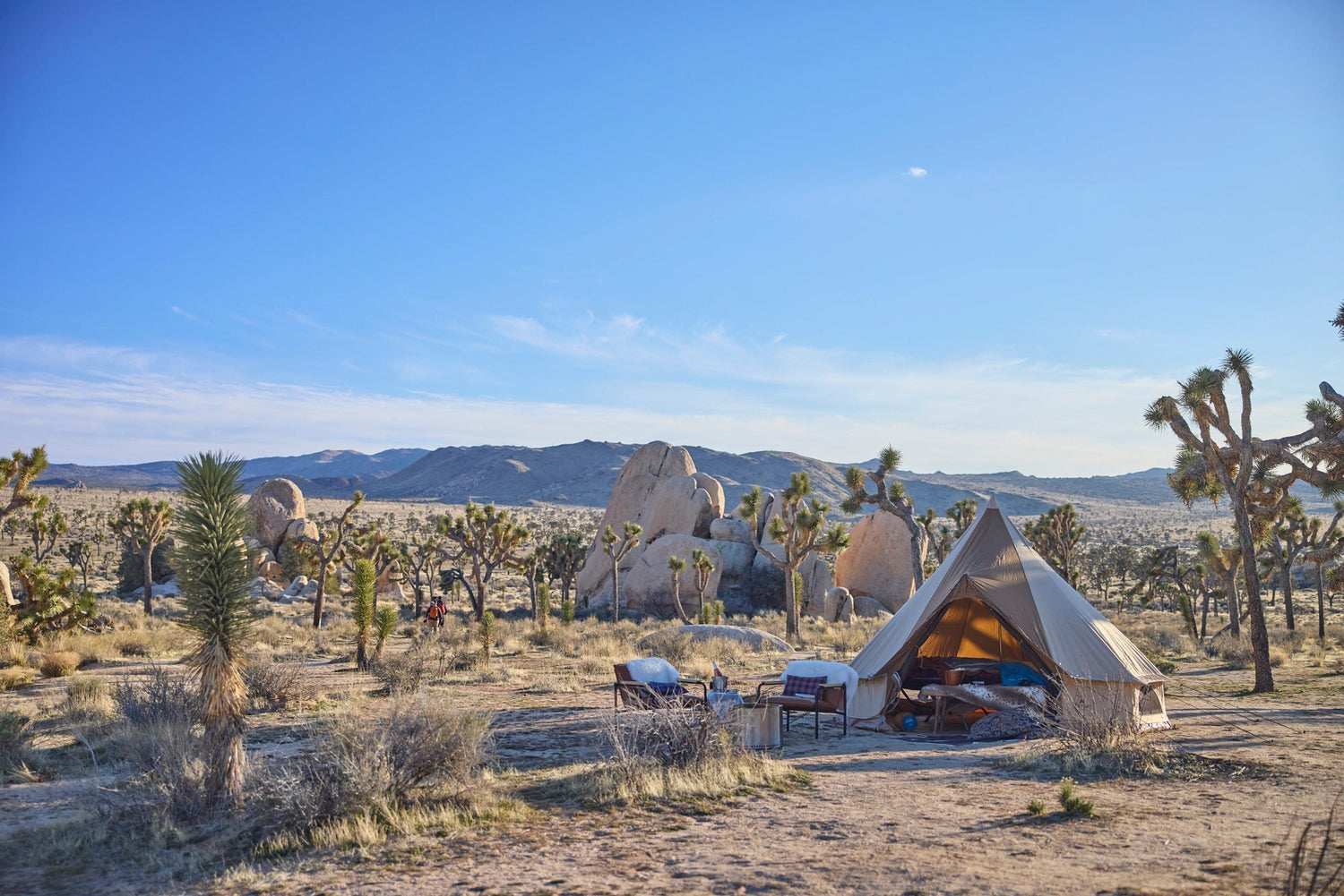 Cómo Elegir la Casa de Campaña Perfecta para tu Aventura