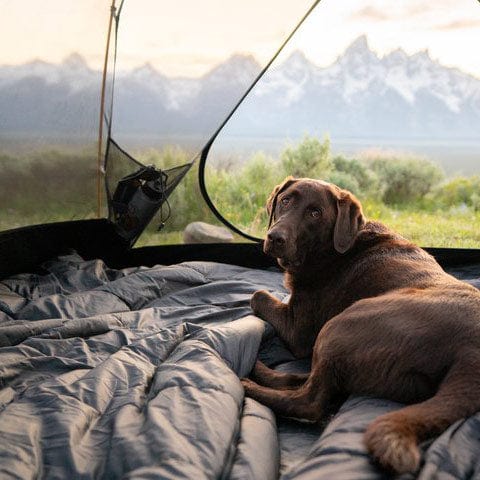 Tienda Mountain Ultra para Tres Personas Teton Sports