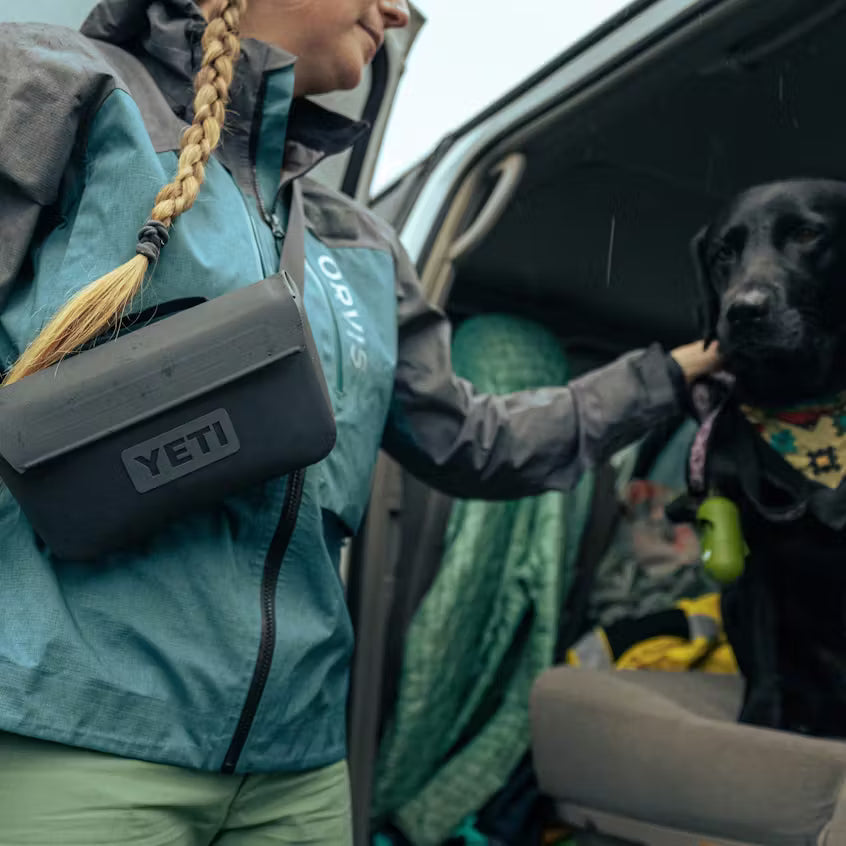 ¿Dónde acampar de forma segura y que acepten mascotas?