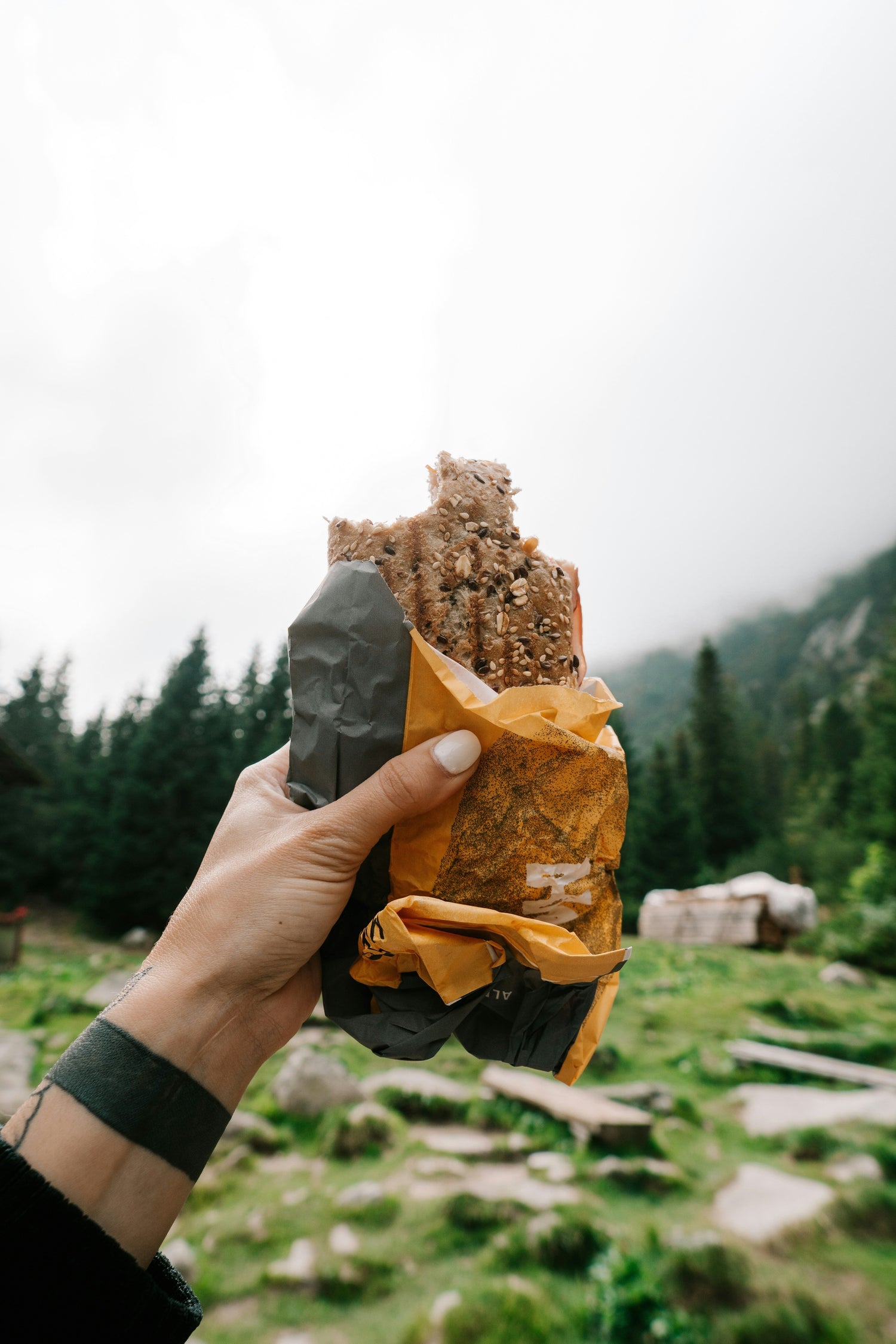 Nutrición en Altura: Consejos para Montañistas