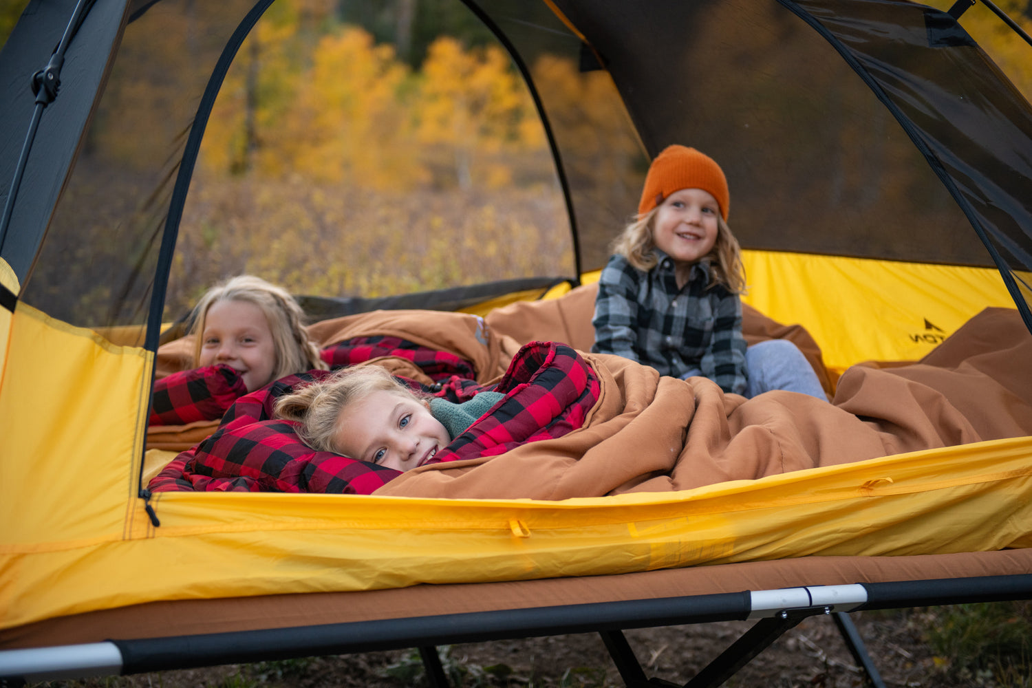 Sleepings Bridger TETON